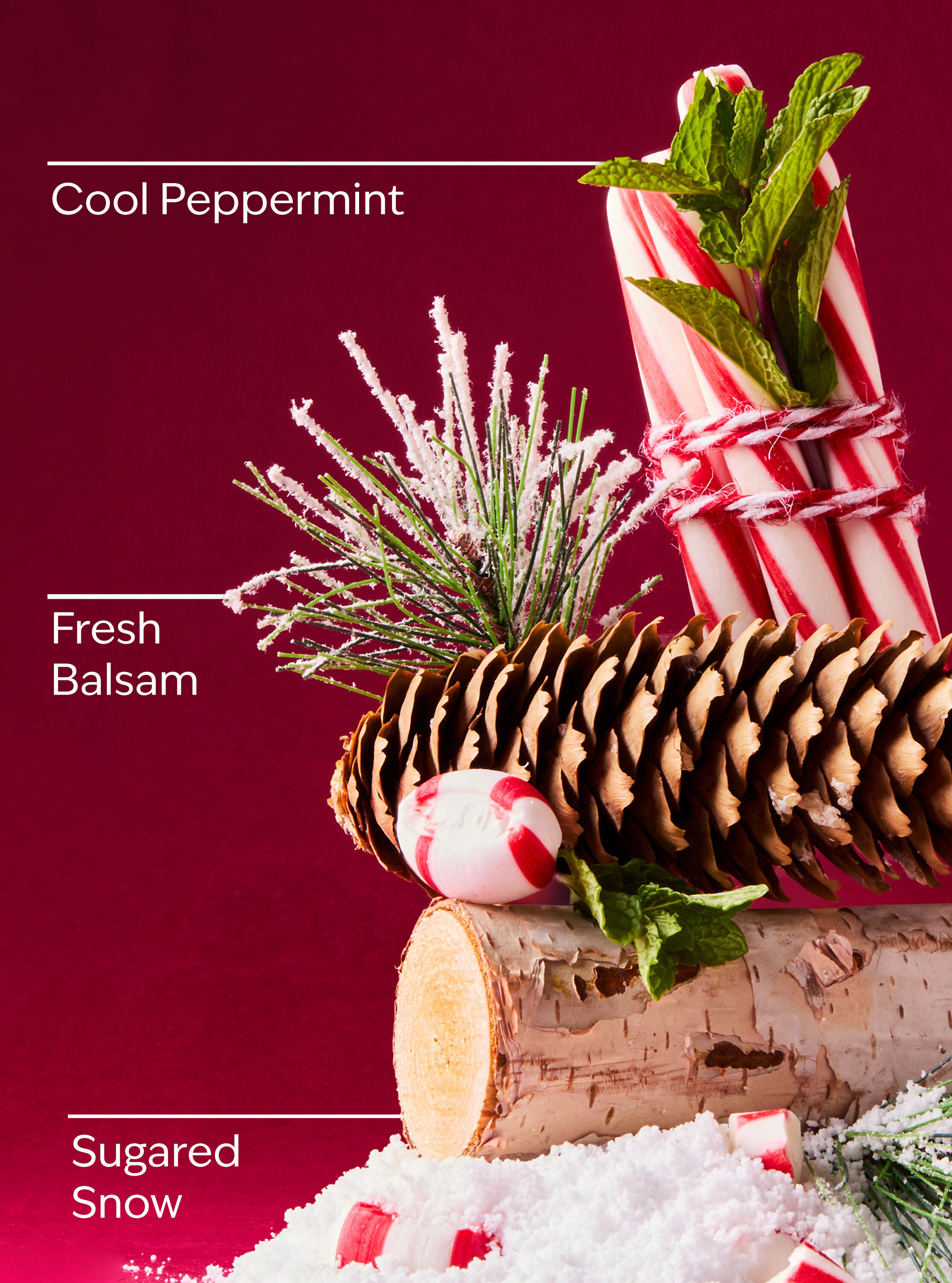 کرم بدن Twisted Peppermint